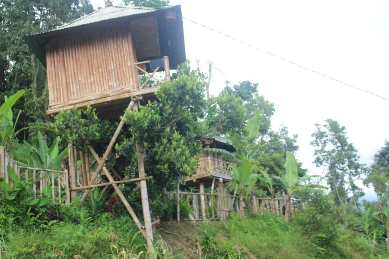 Bali Tree House Pelangi Apartment Bedugul  Exterior photo
